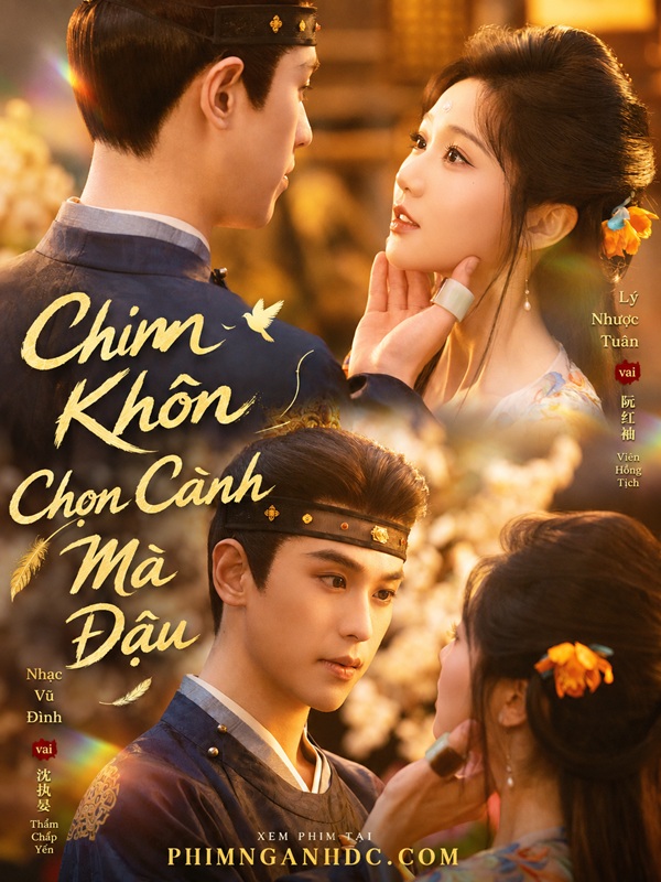 Chim Khôn Chọn Cành Mà Đậu