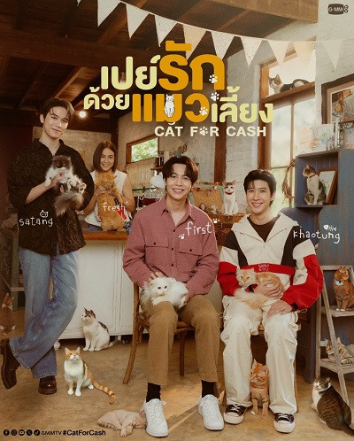 Đổi Tình Lấy Mèo