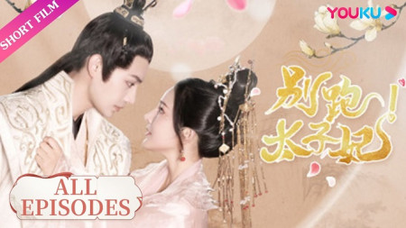 Đừng Chạy, Thái Tử Phi
